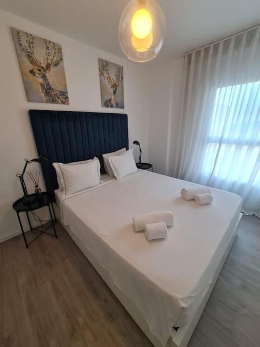 Expo Comfort & Style By S Soares Apartment